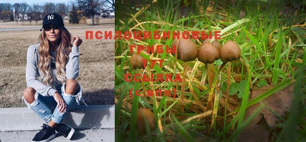 каннабис Армянск