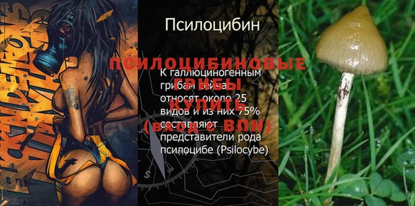 эйфоретик Аркадак