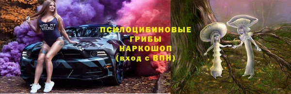 spice Алексеевка